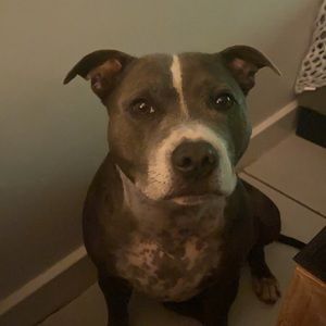 Meet your Posher, Leesa